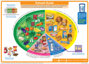 Supplements for a Balanced Diet: The Essential Overview