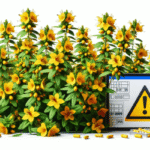 Herbal Interactions: A Perspective on Medications in the UK
