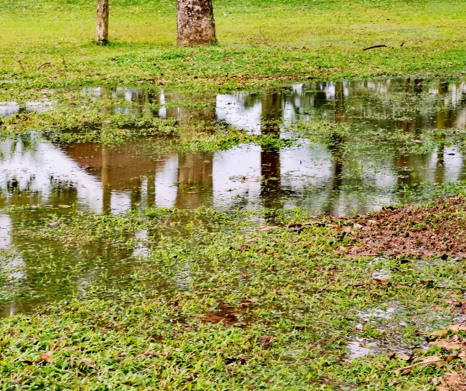 Stormwater Drain Solutions: Causes Explained for Wollongong
