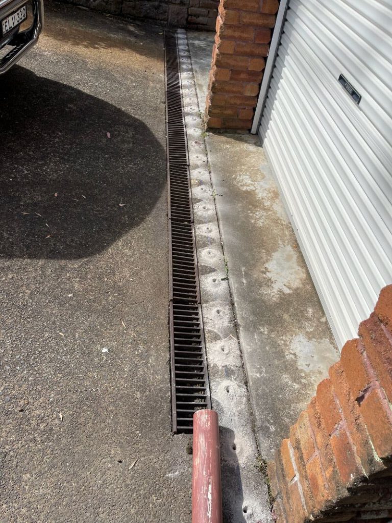 Termite Protection for Your Home: How to Identify Coverage