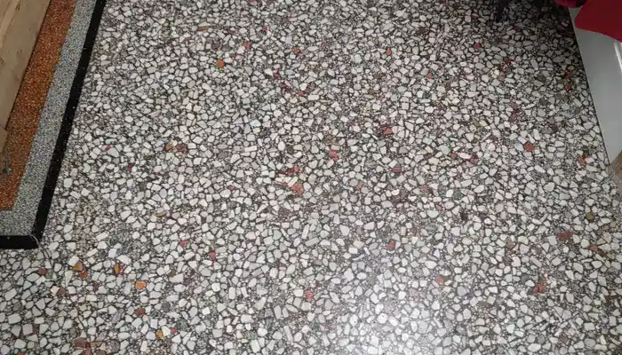 Terrazzo Floors: Essential Care and Restoration Guide for Homes