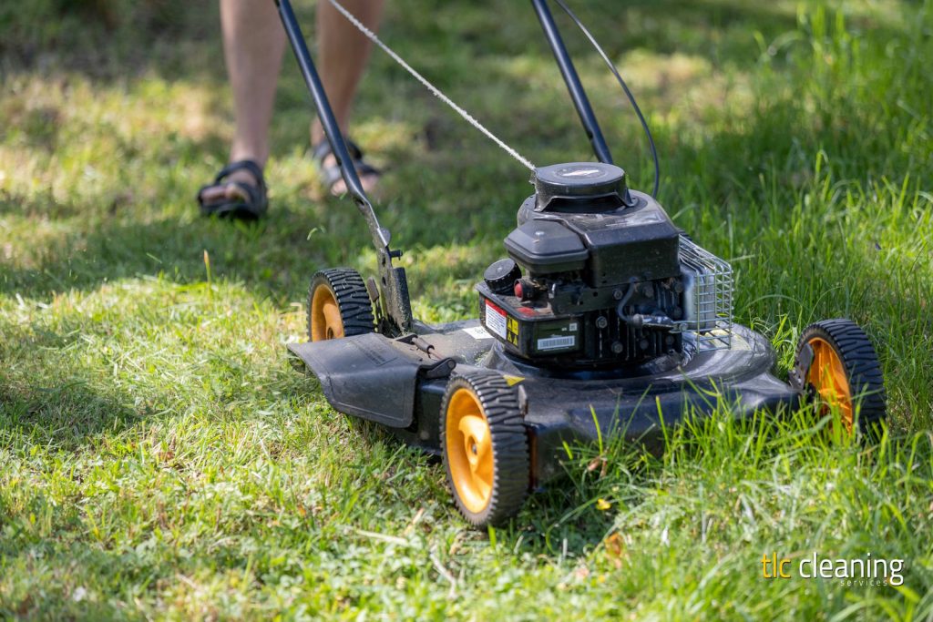 Grass Cutting Services: Options and Tips for Montacute