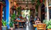 Unique Flavours: Discovering Cafes in San Miguel de Allende