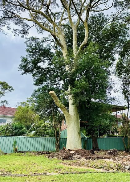 Months After Lightning Strike