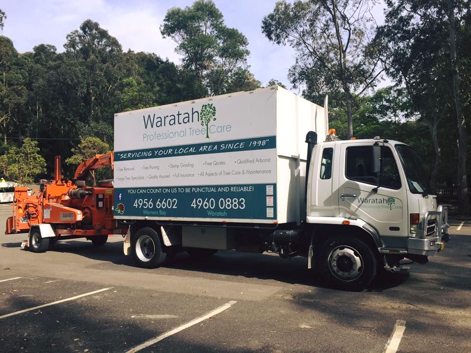 Tree services around Newcastle