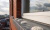 Bird Proofing Solutions: Gel Repellent Options Without Spikes