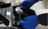 Rat Bait Laws in Australia: Essential Updates to Know