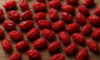 Dried Barberries in Traditional Persian Cuisine Recipes