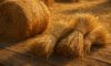 Hay and Straw Cooking: Fresh Recipe Inspirations