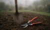 Garden Maintenance Tips for All Seasons in Martock Area